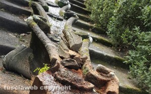 Viterbo - Villa Lante - I danni provocati dal leccio che si è abbattuto sulla fontana del Gambero