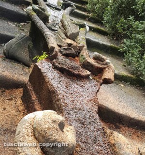 Viterbo - Villa Lante - I danni provocati dal leccio che si è abbattuto sulla fontana del Gambero
