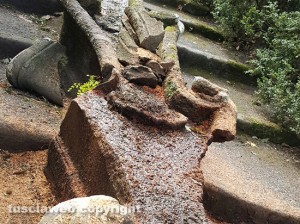 Viterbo - VIlla Lante - I danni provocati dal leccio che si è abbattuto sulla fontana del Gambero