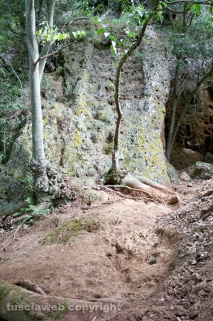 Viterbo - La tomba rupestre etrusca di Grotte Scalina