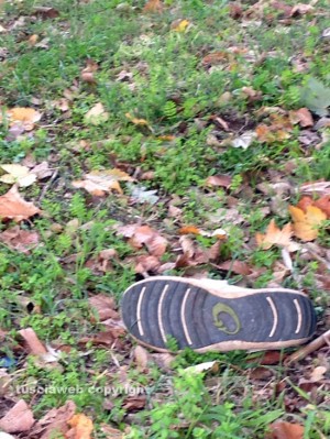 Monterosi - I rifiuti gettati al parco