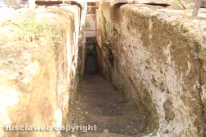 Anno degli Etruschi - Grotte Scalina