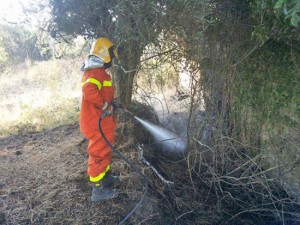 Montefiascone - Asvom in azione 