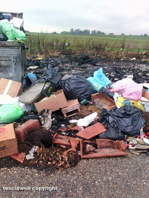 Viterbo - Teverina - I cassonetti dopo l'incendio
