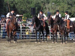 Canino - Mostra nazionale del cavallo maremmano