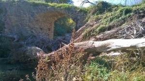 Tarquinia - Il ponte nella Valle del Mignone
