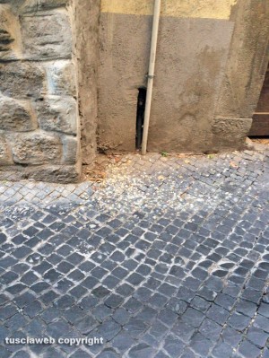 Viterbo - Sporcizia in via Chigi