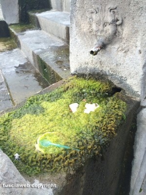 Viterbo - Piazza della Rocca - La fontana del Vignola piena di melma e rifiuti