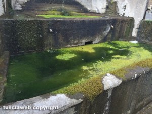 Viterbo - Piazza della Rocca - La fontana del Vignola piena di melma e rifiuti