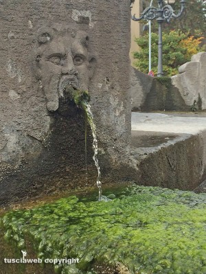 Viterbo - Piazza della Rocca - La fontana del Vignola piena di melma e rifiuti