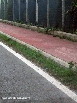 Viterbo - Strada Bagni - Il breccino lungo il marciapiedi