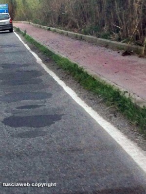Viterbo - Strada Bagni - Il breccino lungo il marciapiedi