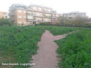 Viterbo - Parco a Pianoscarano nell'incuria