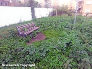 Viterbo - Parco a Pianoscarano nell'incuria