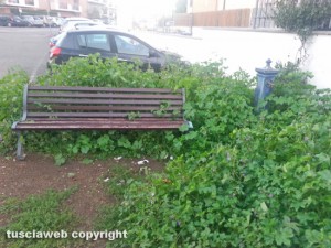 Viterbo - Parco a Pianoscarano nell'incuria