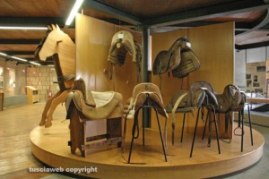 Blera - Museo "Il cavallo e l'uomo"