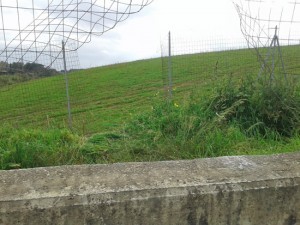 Roma - Furto di cavi elettrici sul Gra