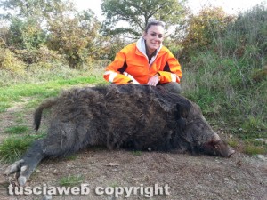Acquapendente - Chiara Di Francescantonio, cacciatrice, abbatte cinghiale