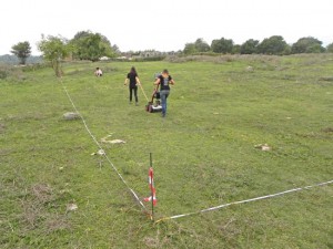 Viterbo - Gruppo di ricerca a Ferento