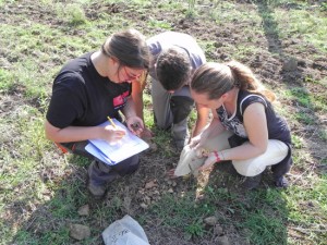 Viterbo - Gruppo di ricerca a Ferento