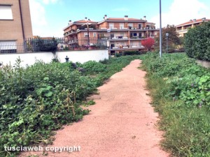 Viterbo - Via Angelo Ioppi - Lo stato dei giardinetti