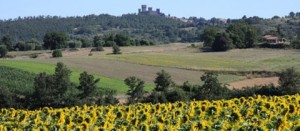 Altopiano dell'Alfina