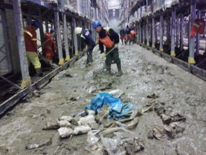 Benevento - I volontari dell'Aeopc di Tarquinia la lavoro