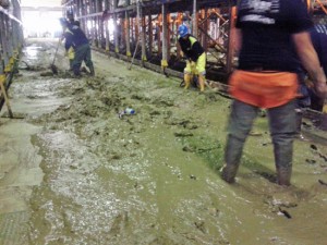 Benevento - I volontari dell'Aeopc di Tarquinia la lavoro