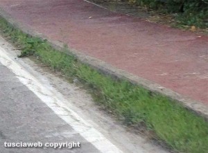 Viterbo - Strada Bagni - Il breccino lungo il marciapiedi