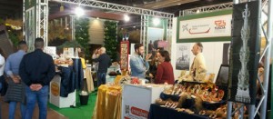 Verona - Le imprese della Tuscia a FieraCavalli