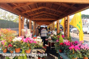 Viterbo - Inaugurazione mercato coperto