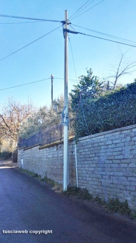 Viterbo - Strada Fagiano - Palo piegato