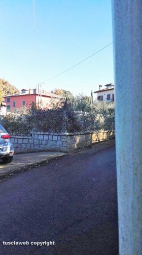 Viterbo - Strada Fagiano - Palo piegato