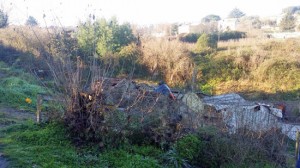 Le operazioni di recupero della macchina finita fuori strada