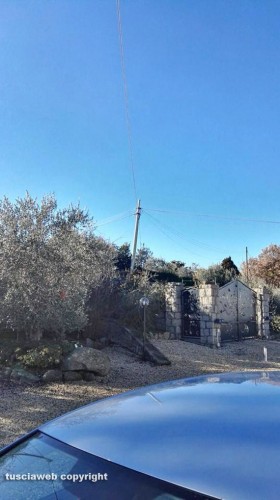Viterbo - Strada Fagiano - Palo piegato