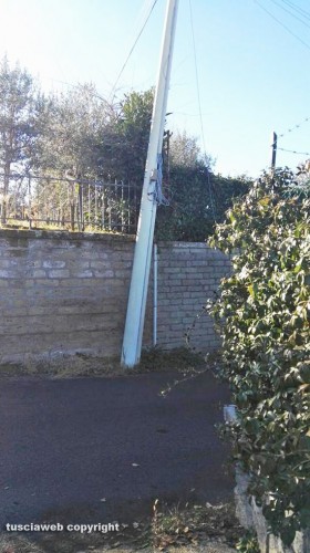 Viterbo - Strada Fagiano - Palo piegato