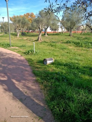 Viterbo - Santa Barbara - degrado al Parco delle querce