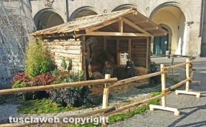 Viterbo - Albero e presepe a piazza del Comune