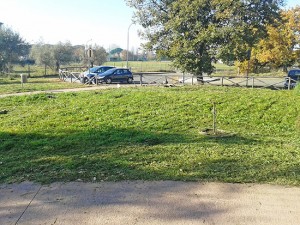 Il parco delle Querce