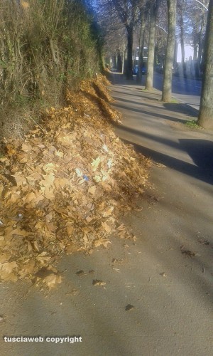 Viterbo - Foglie accumulate in viale Trieste