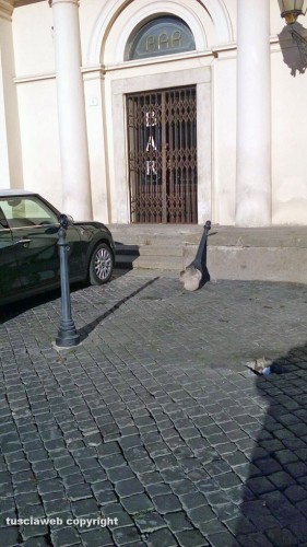 Viterbo - Parcheggio selvaggio a piazza del Teatro