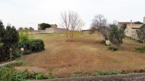Tarquinia - Campo Cialdi
