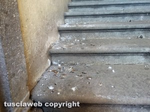 Viterbo - Degrado e approssimazione a palazzo dei Priori