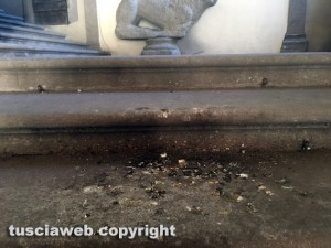 Viterbo - Degrado e approssimazione a palazzo dei Priorii - Escrementi di piccione sulle scale