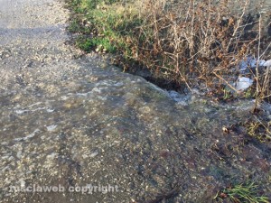 Liquami nel lago di Bolsena