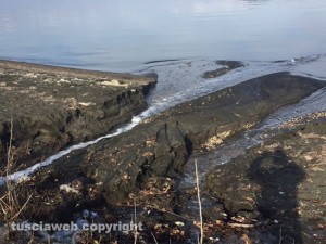 Liquami nel lago di Bolsena