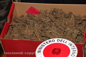 Viterbo - Operazione antidroga della mobile