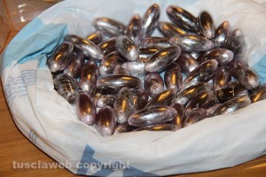 Viterbo - Operazione antidroga della mobile
