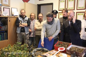Viterbo - Operazione antidroga della mobile