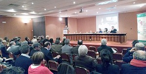 Conferenza dei servizi Asl Viterbo - Il pubblico